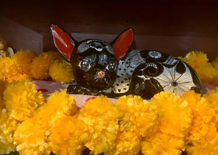 Experience At Casa Linda In Menlo Park
