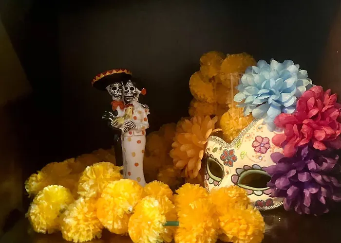 Experience At Casa Linda In Menlo Park * Tucson